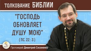 «Господь обновляет душу мою» (Пс. 22:3).  Протоиерей Димитрий Сизоненко