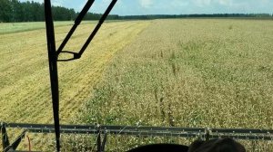 Начало уборочной 2025!