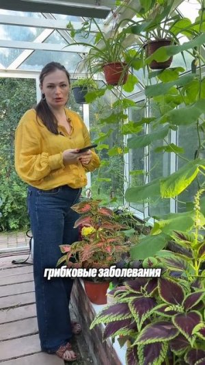 Вот к чему приводит РАЗБАЛАНС В ПИТАНИИ