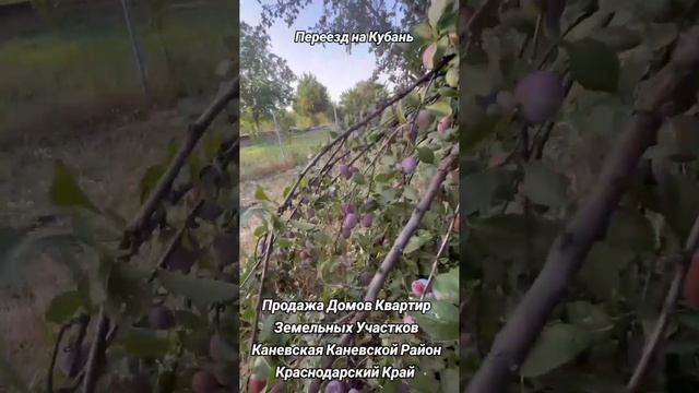 ПРОДАЁТСЯ ДОМ 3,470,000 С ВЫХОДОМ В СЛАДКИЙ ЛИМАН , ПЕРЕЕЗД НА КУБАНЬ, ПЕРЕЕЗД НА ЮГ смотреть онлайн