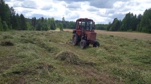 Сенокос 2025. Скосил поле 5 гектар и сеяный клевер. Трудное кошение лежалого клевера с люцерной.