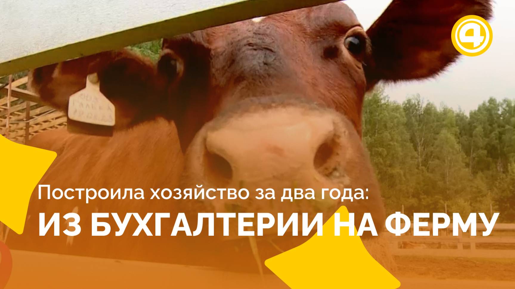 Как бухгалтер восстановила землю и создала ферму смотреть онлайн