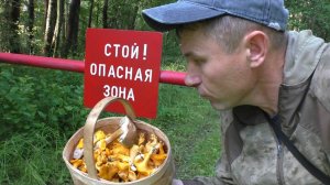 Набрал грибов в запретной зоне! ЛЕС И ГРИБЫ!