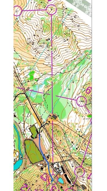 Лонг с ПФО в Новоабзаково (Headcam Orienteering №85)