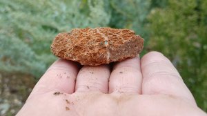 Поиск золотых самородков на царском прииске