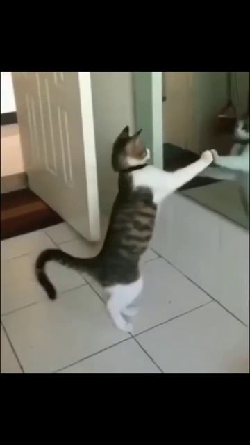 когда я вижу себя в зеркале: смотреть онлайн