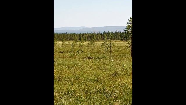 Уральские горы Ural Mountains смотреть онлайн