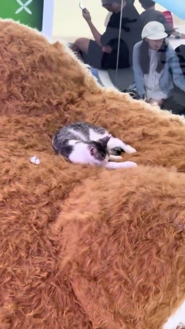 Уединение смотреть онлайн