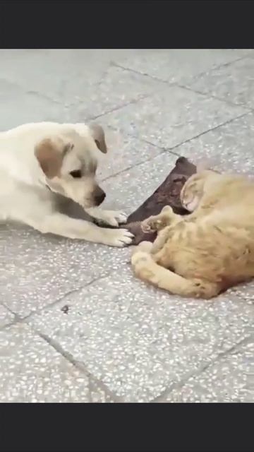 Это мое смотреть онлайн