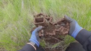 Металлокоп в посадках-"клетках"