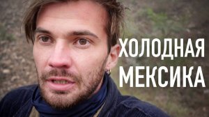 Горячая кровь