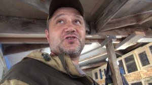 Как вылечить попугая от французской линьки.