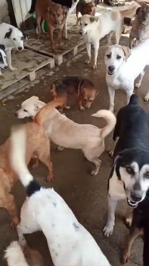 Наши глаза говорят больше слов