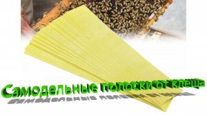 🐝 "Самодельные полоски от клеща: проверенный метод профессора Кашковского"