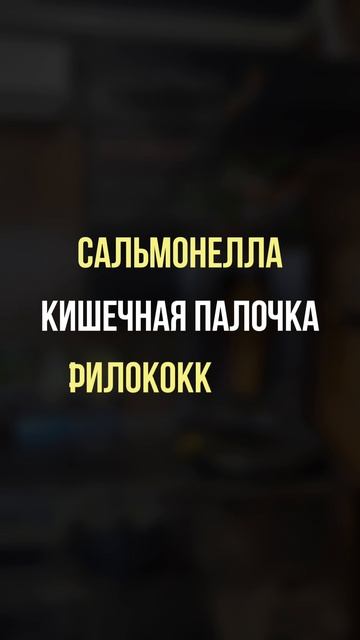 ⚡️Нарушения в шаурмичной Сочи⚡️ смотреть онлайн