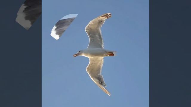 Это интересно-45