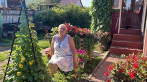 🏡 Обзор цветов на усадьбе на 31 июля 2025 года.Часть 1.