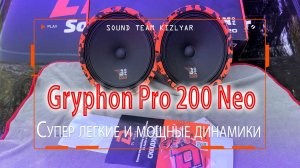 DL Audio Gryphon Pro 200 Neo: Супер легкие и мощные динамики с неодимовым магнитом марки N42