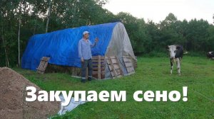 Наконец то закупка сена, адская жара тормозит стройку, деревенские будни!