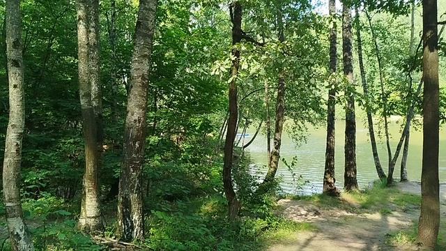 Где можно искупаться в Москве в такую жару? смотреть онлайн