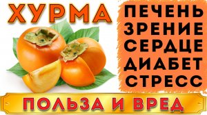 ХУРМА - ПОЛЬЗА И ВРЕД (ВСЕ КАЧЕСТВА ХУРМЫ ОТ ПОЛОЖИТЕЛЬНЫХ ДО ОТРИЦАТЕЛЬНЫХ. ИЗ-ЗА ЧЕГО ВЯЖЕТ ХУРМА)
