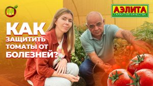 Формула успеха в борьбе с фитофторой! ЗАЩИТА ТОМАТОВ ОТ БОЛЕЗНЕЙ.