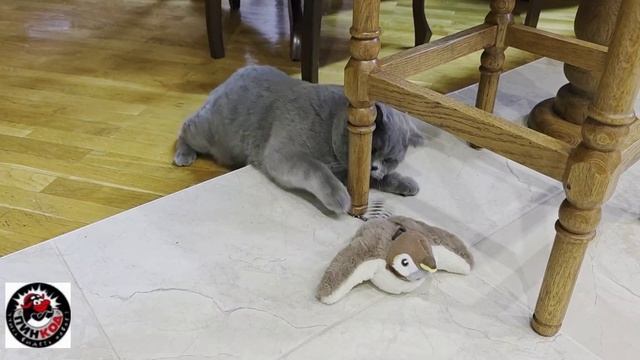 Воробушек.Интерактивная игрушка для кота.