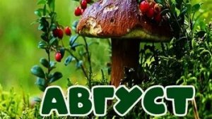 Август. Последний месяц лета. Музыкальная открытка.