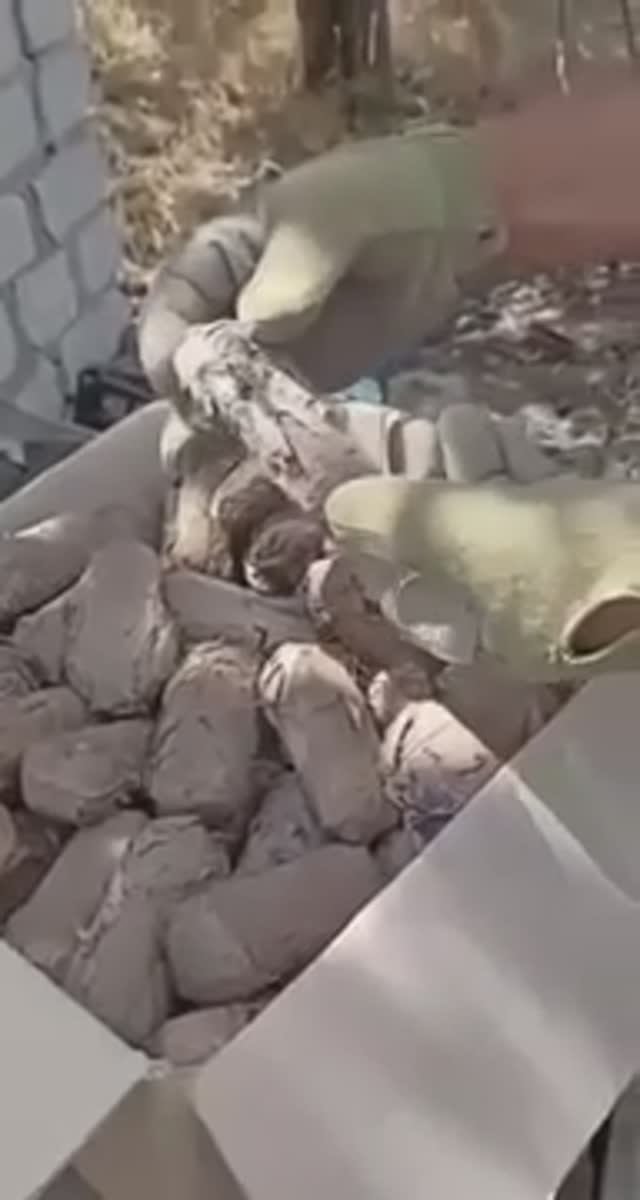 ❗Внимание бойцам на СВО❗ будьте бдительны ❗ смотреть онлайн