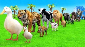 Мультики для детей про животных. Перевозка машин на животных. Смотреть онлайн Мультики для малышей