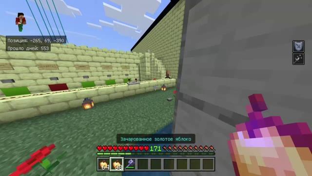 Как выглядит слабость 255 уровня в Майнкрафте?