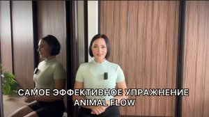 Самое эффективное упражнение Animal Flow