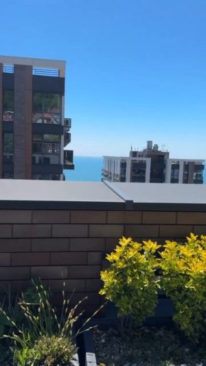 Моравия патио зона