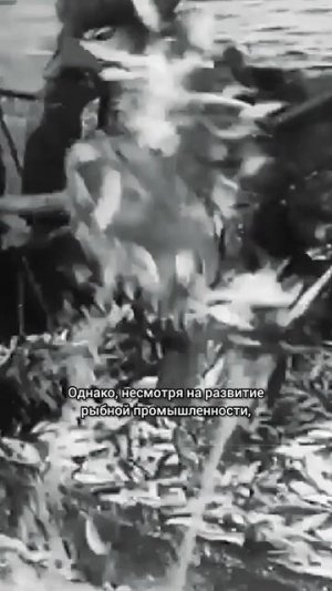 Почему в СССР четверг стал Рыбным днём?