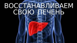 Печень. Как эффективно восстановить? Снизить билирубин.