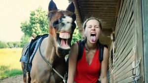 Лошади дурачатся со своими людьми 🤪 Самые смешные видео о животных