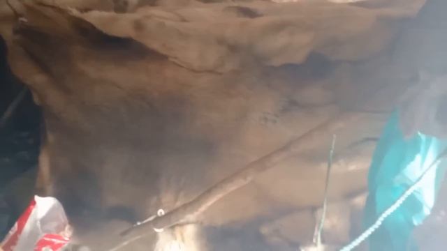 Arctic Nomads Vs. Cold Their Homes Are Genius!