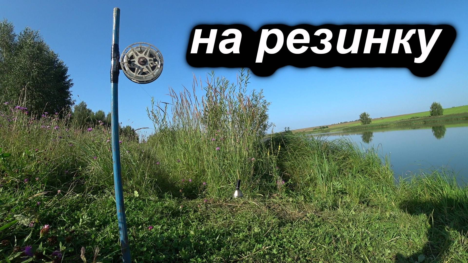 РЫБАЛКА НА РЕЗИНКУ ИЮЛЬ 2025