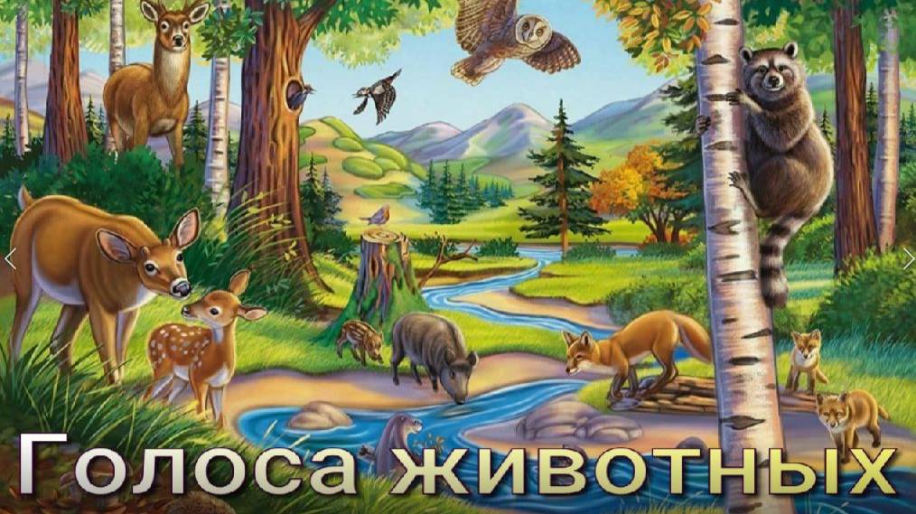 Звуки диких животных. Голоса животных смотреть онлайн