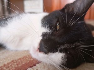 брат купается