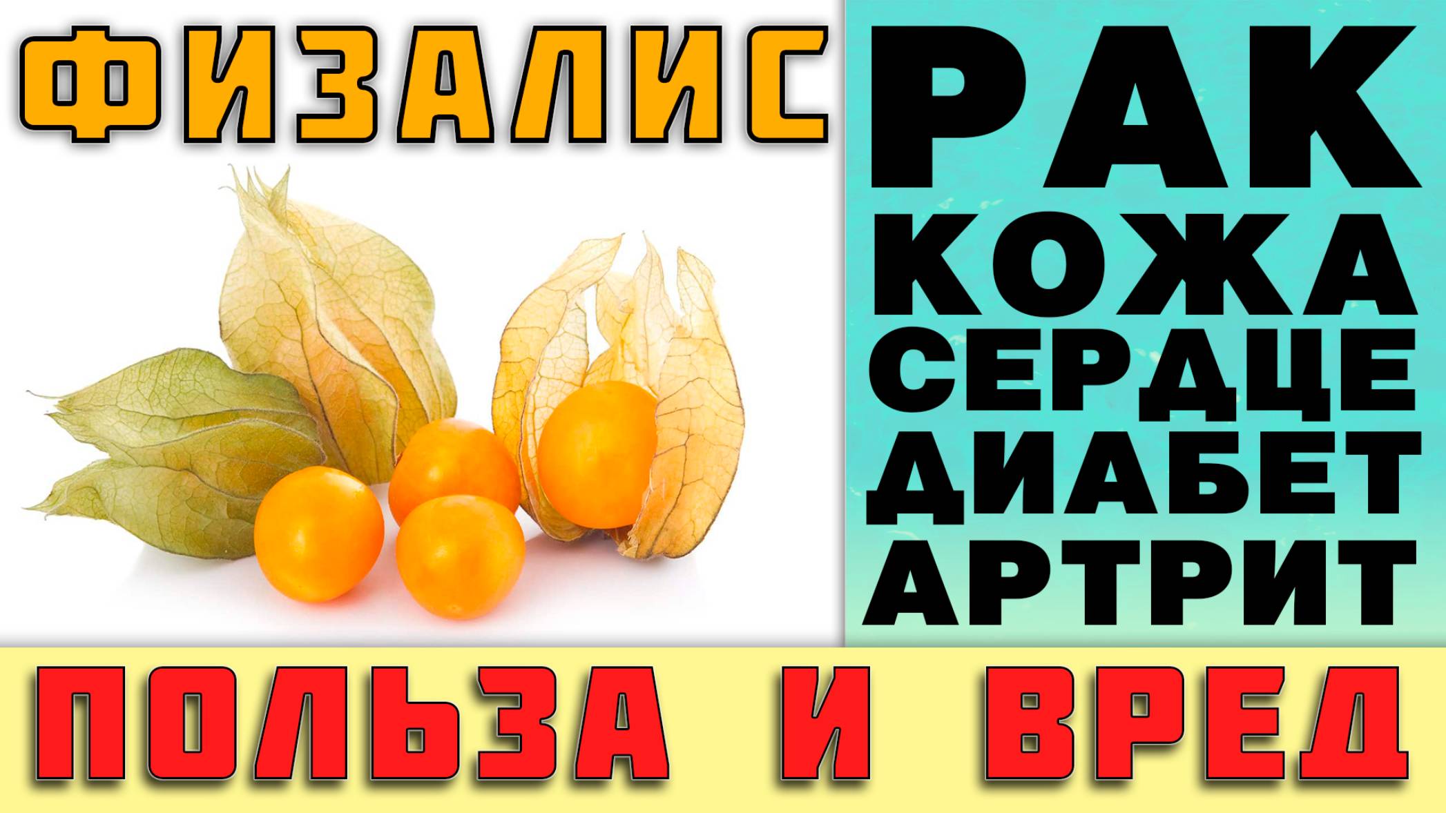 ФИЗАЛИС - ПОЛЬЗА И ВРЕД (РЕДКИЙ ГОСТЬ СТОЛА И ДАЧИ. МАЛО КТО ЗНАЕТ ИСТИННЫЕ СВОЙСТВА) смотреть онлайн