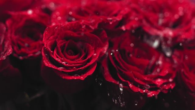 I will love you as long as my heart is beating смотреть онлайн