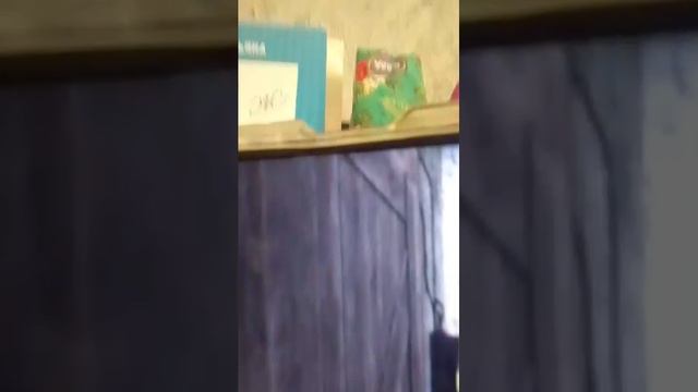 Играю в. Metel Во все главы. от 1 до4 головы. Metel смотреть онлайн