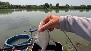 Ловля_донной_удочкой,_рыболовный_турнир_на_кубок_Адыгеи