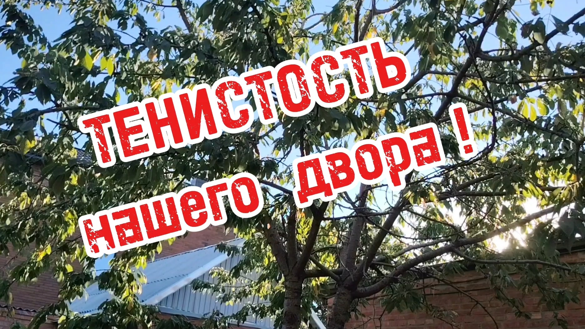Ейск ! Тенистость нашего двора в разное время дня ! Пляж Малина ! 31-07-2025 смотреть онлайн