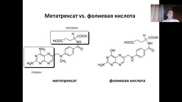 Антифолатные антибиотики