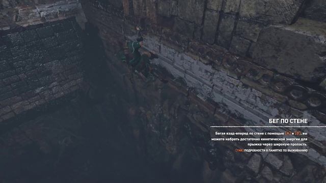 Shadow of the Tomb Raider Возращение в Пайтити Путь за Щитом #20