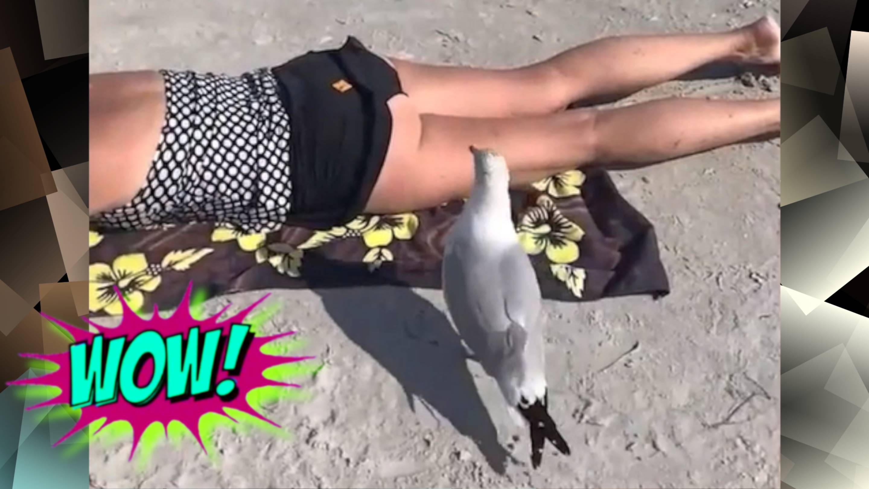 "СМЕХ ДО СЛЕЗ: СМЕШНЫЕ ВИДЕО И ПРИКОЛЫ" смотреть онлайн