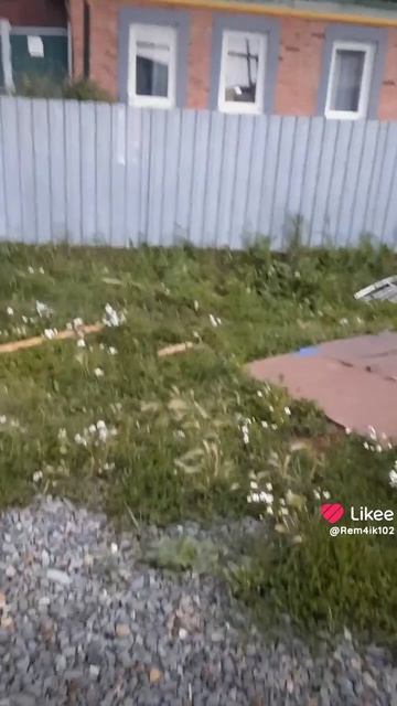 На прогулке 💥 смотреть онлайн