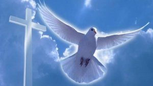 На что похожи облака...(Сын слепой)